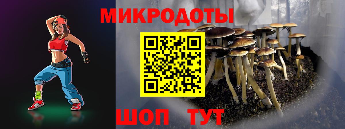 Новоалтайск  Галлюциногенные грибы GOLDEN TEACHER  закладка  Вход с VPN 